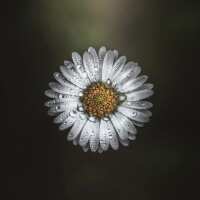 Lesen LED Bilder Bewertungen
